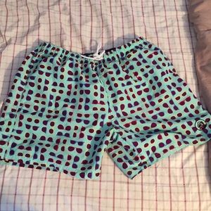 Southern Proper Swimming Shorts